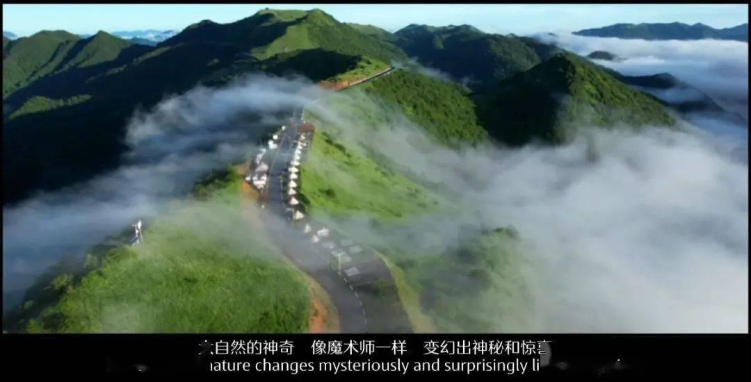 竞技宝登录
